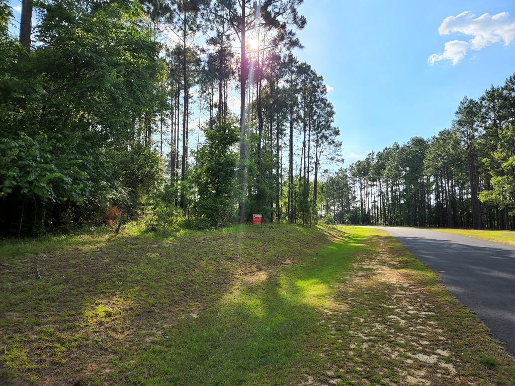 Ridgewood Ct., Vidalia, GA