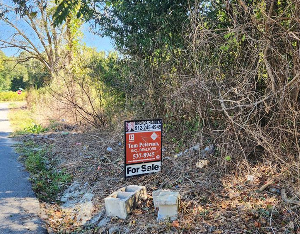 209 Lively St, Vidalia, GA