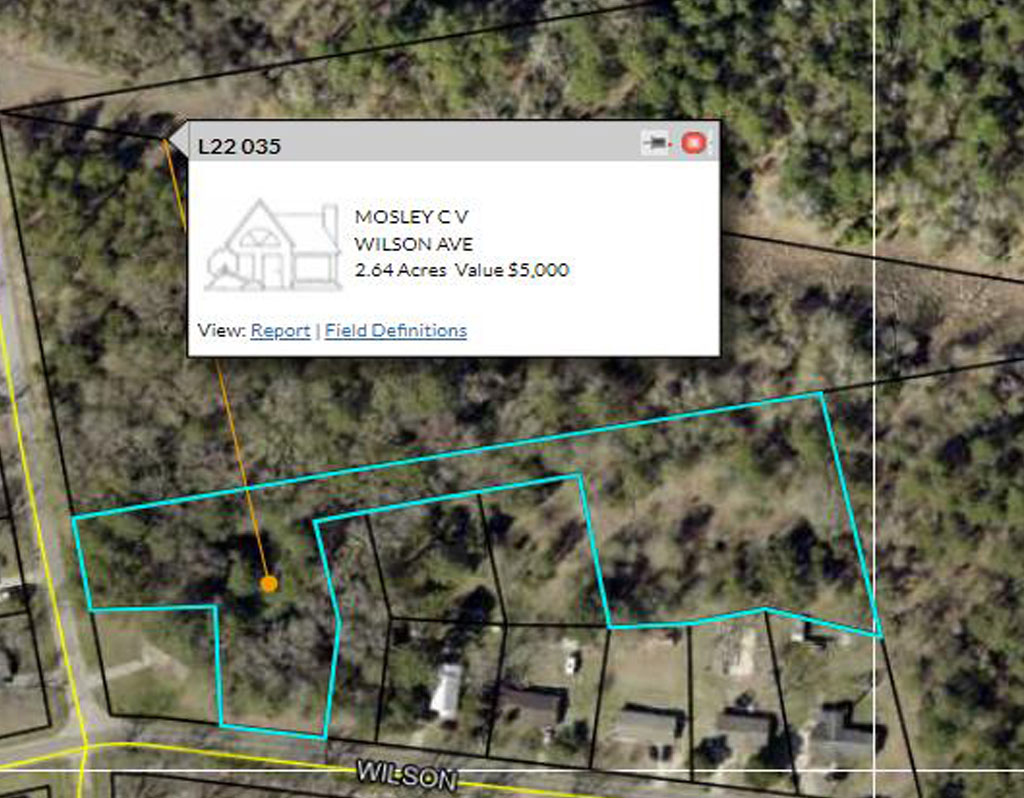 Wilson Ave, Lyons, GA