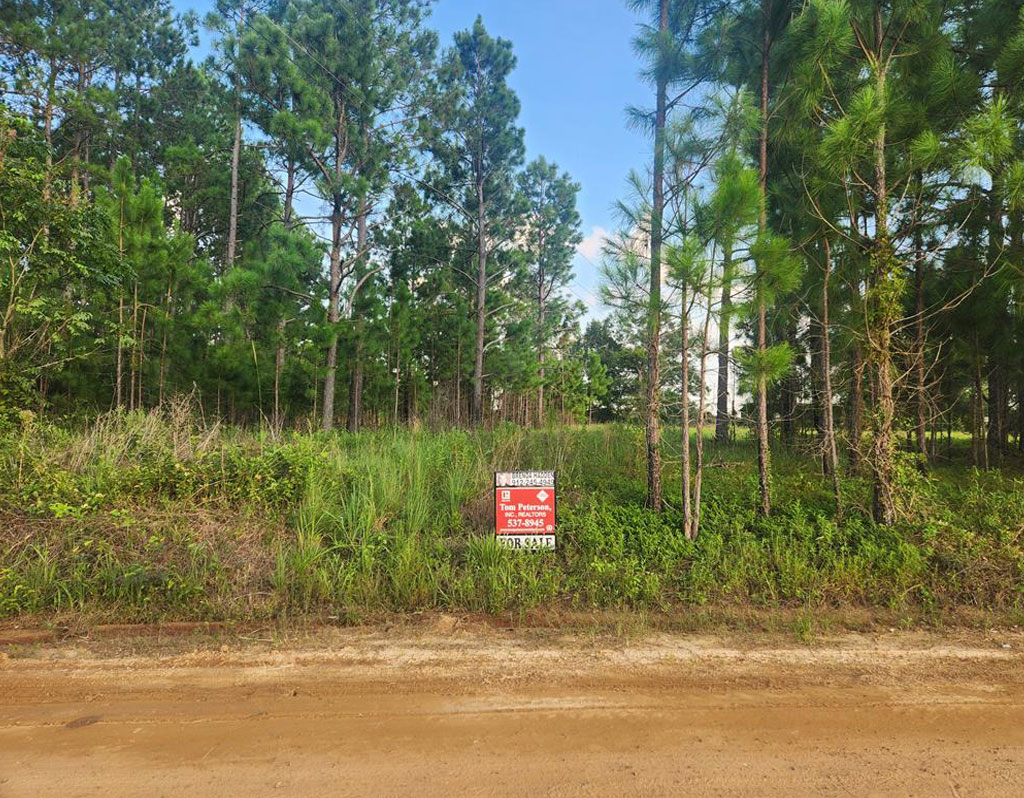 719 Adams Road, Uvalda, GA