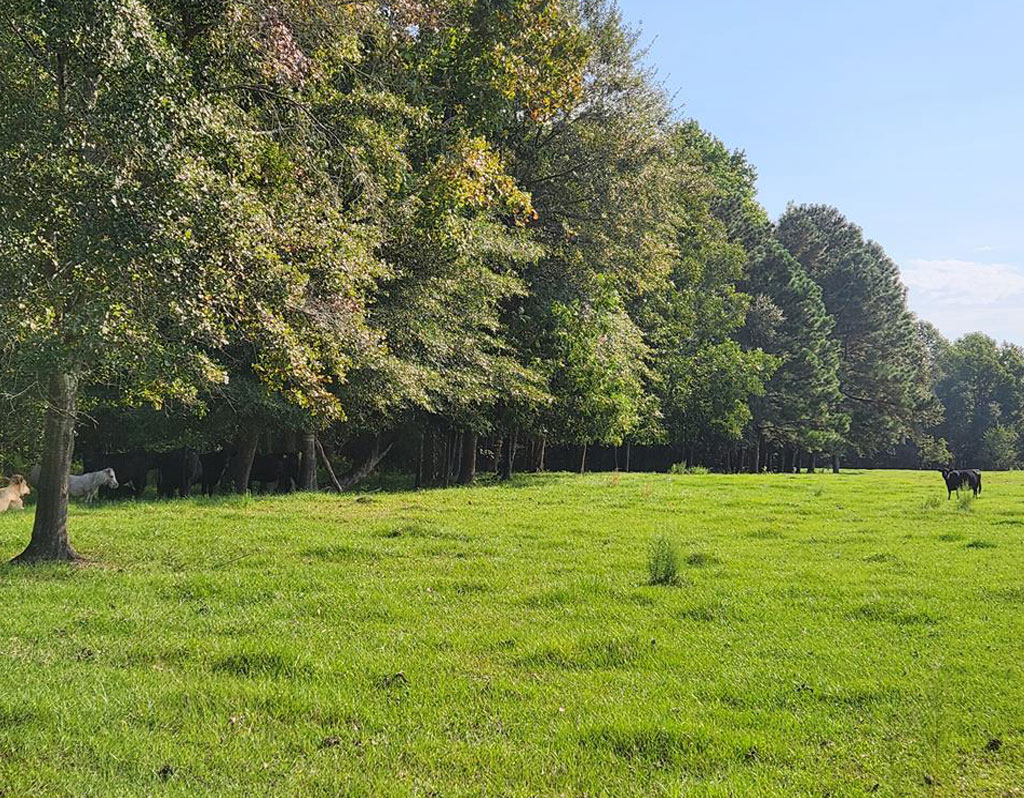 248 Tract A – Joe Hilton Road, Higgston, GA