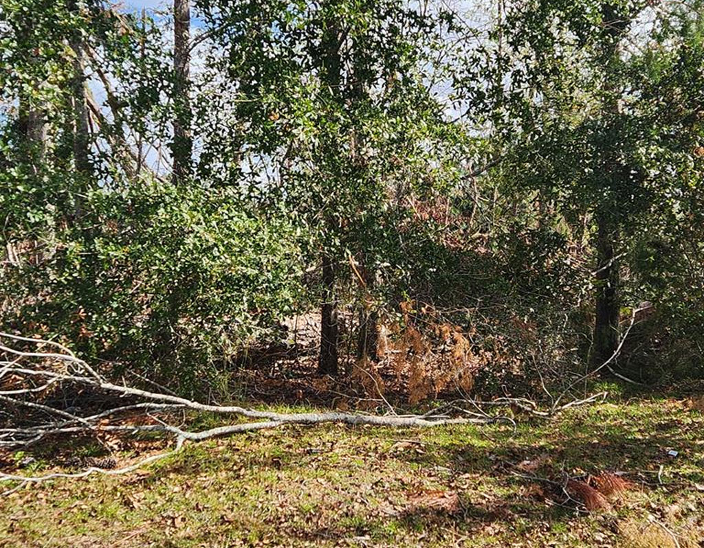 Chastain Street, Vidalia, GA