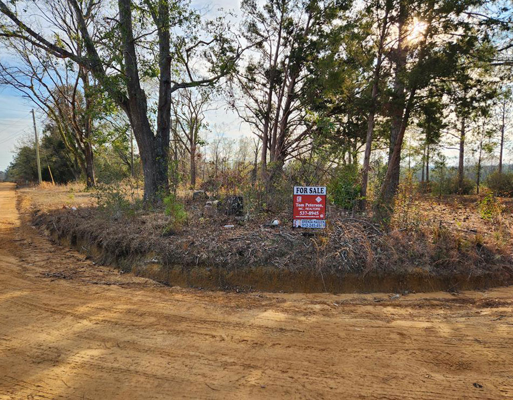 0 Currie Rd & Henry Wolfe Rd, Cedar Crossing, GA