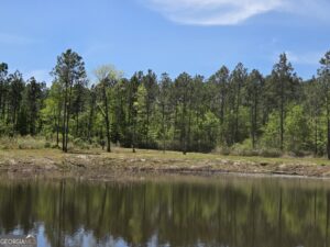 10727962 - 00 Serenity Lane