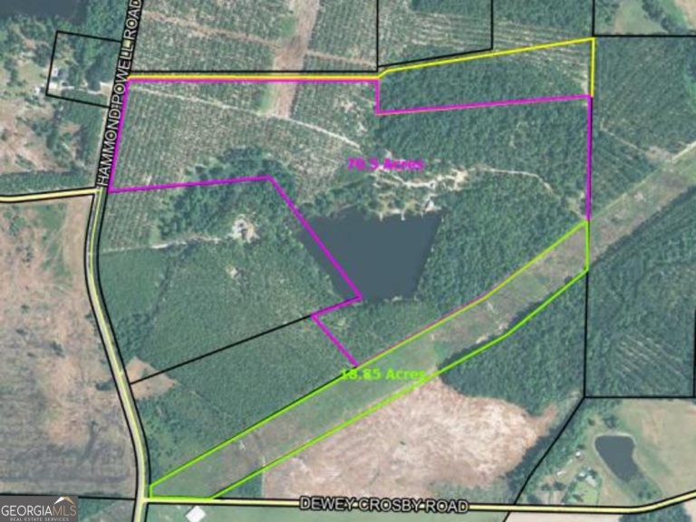 10757847 - 0 Hammond Powell Road